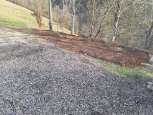 Hier kommt der Survival-Bereich hin